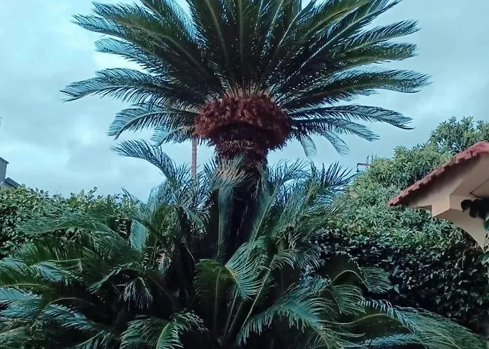 Elisabetta Bed & Breakfast